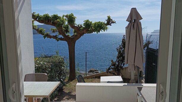 En terrasse med bord og stole, et træ og en parasol.