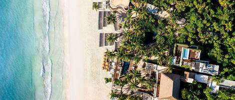 An aerial view of a beach resort with a pool area, sun loungers, and palm trees.