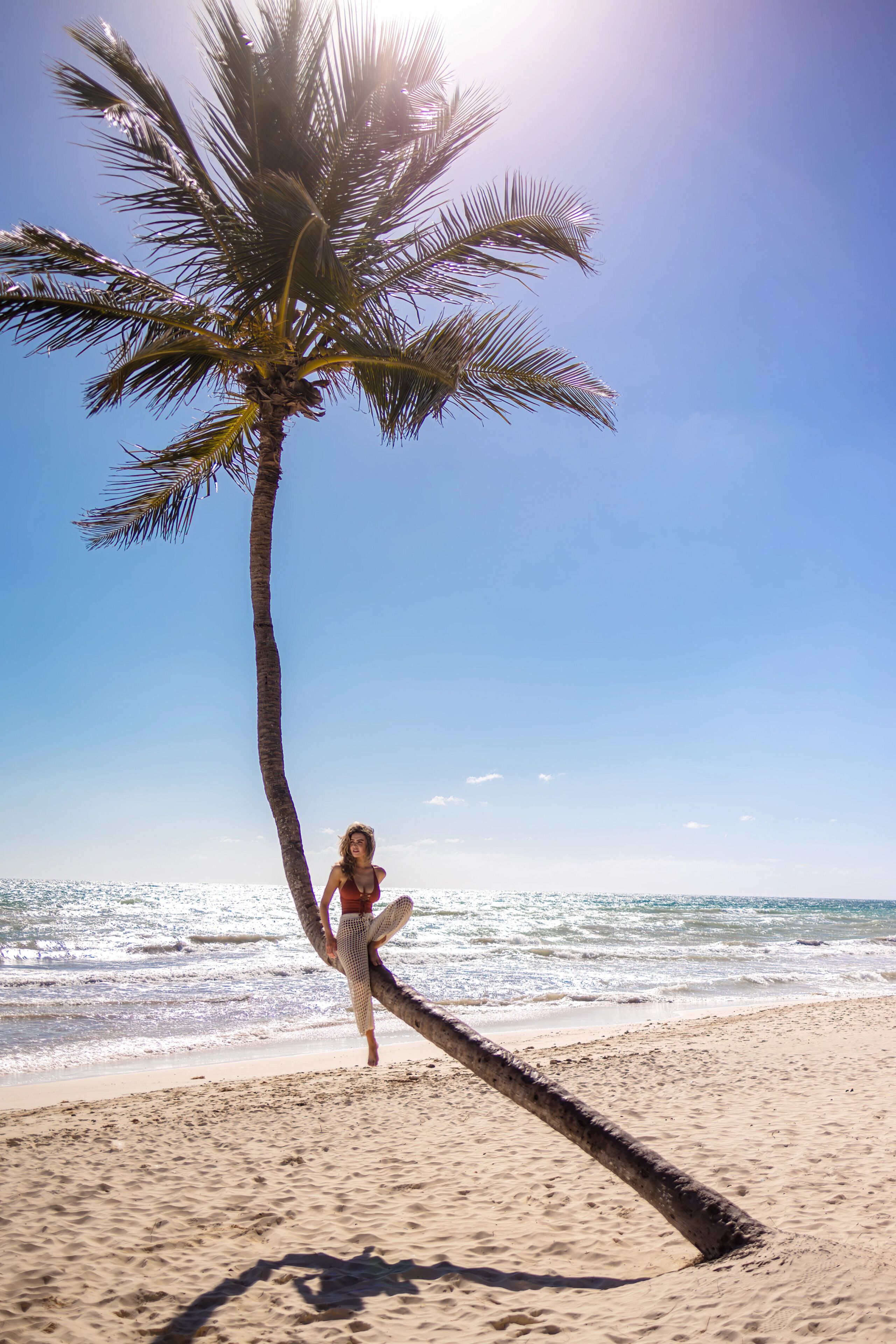 Una palmera en la playa con el océano al fondo.