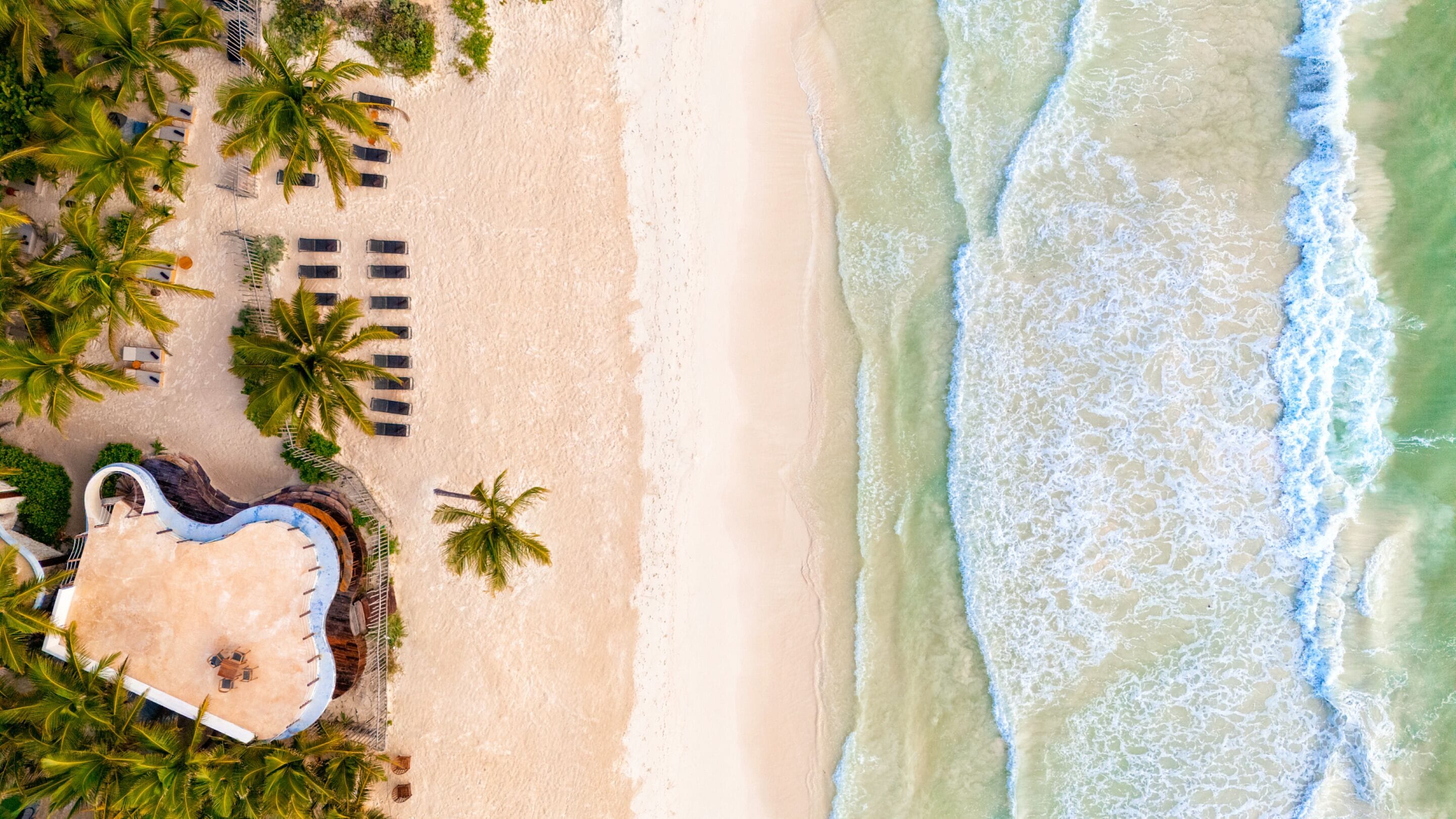 Vue aérienne d’une plage bordée de palmiers, avec une piscine et un espace aménagé avec des chaises de plage.