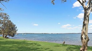 A grassy area with a tree and a body of water. - Karinyah - Panoramic Waterfront Views (Summerland Point)