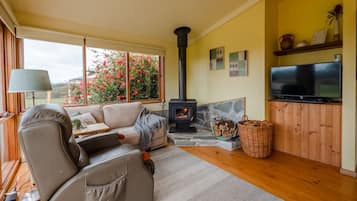 Televisión y chimenea