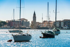 A marina with several sailboats docked, a prominent tower in the background, and buildings along the waterfront.