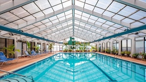 Una piscina interior con techos de vidrio transparente, sillas reclinables azules y plantas en macetas.