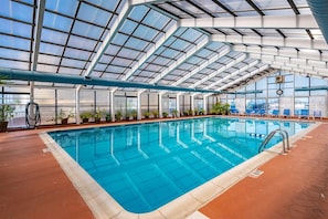 Una piscina interior con techo de vidrio, plantas en macetas y sillones azules.