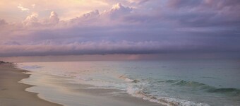 BOOK ME! I'm a Cute Modern Piece of Paradise Just Steps to the Ocean!