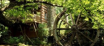 Lindsey Mill Cabin on stream and pond