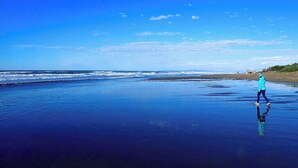 A beach with a person walking on the wet sand, a clear sky, and distant landforms. - Tuscan countryhouse apartment, 10 min by the sea,  with AC and large garden. (Castagneto Carducci)