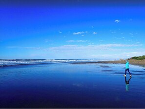 Playa en los alrededores y camastros 
