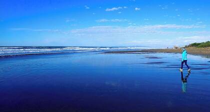 Tuscan countryhouse apartment, 10 min by the sea, with AC and large garden.