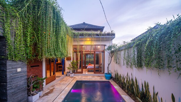 Une maison moderne dotée d’une piscine, d’un patio couvert et d’une végétation luxuriante.