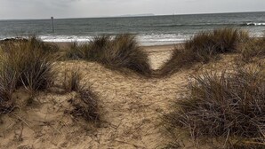 A beach path leading to the sea with dunes and grass.
