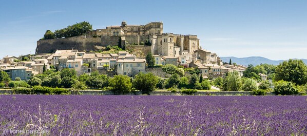 A historic town with a prominent castle on a hill, surrounded by residential buildings and a lavender field. - Village house with private pool, Grignan – Drôme Provençale (Grignan)