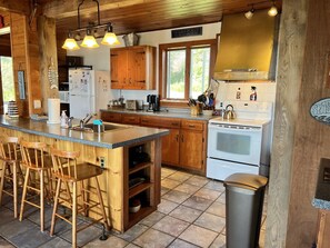 Fridge, oven, stovetop, coffee/tea maker