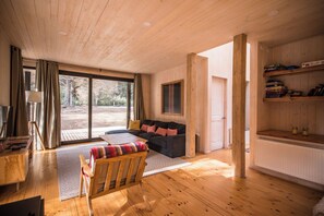 Smart TV, chimenea, libros