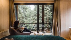 Interior - House with Forest and Hot-Tub in Malalcahuello near Corralco (Malalcahuello)