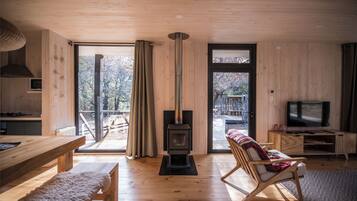 Smart TV, fireplace, books