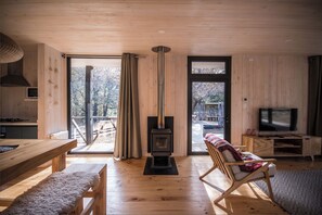 Smart TV, fireplace, books