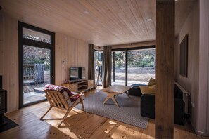 TV connectée, cheminée, livres