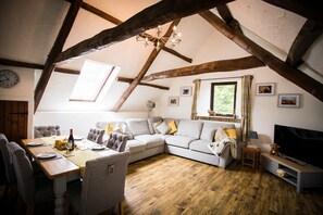 TV, video games, table tennis