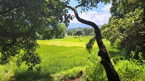 Sportplatz