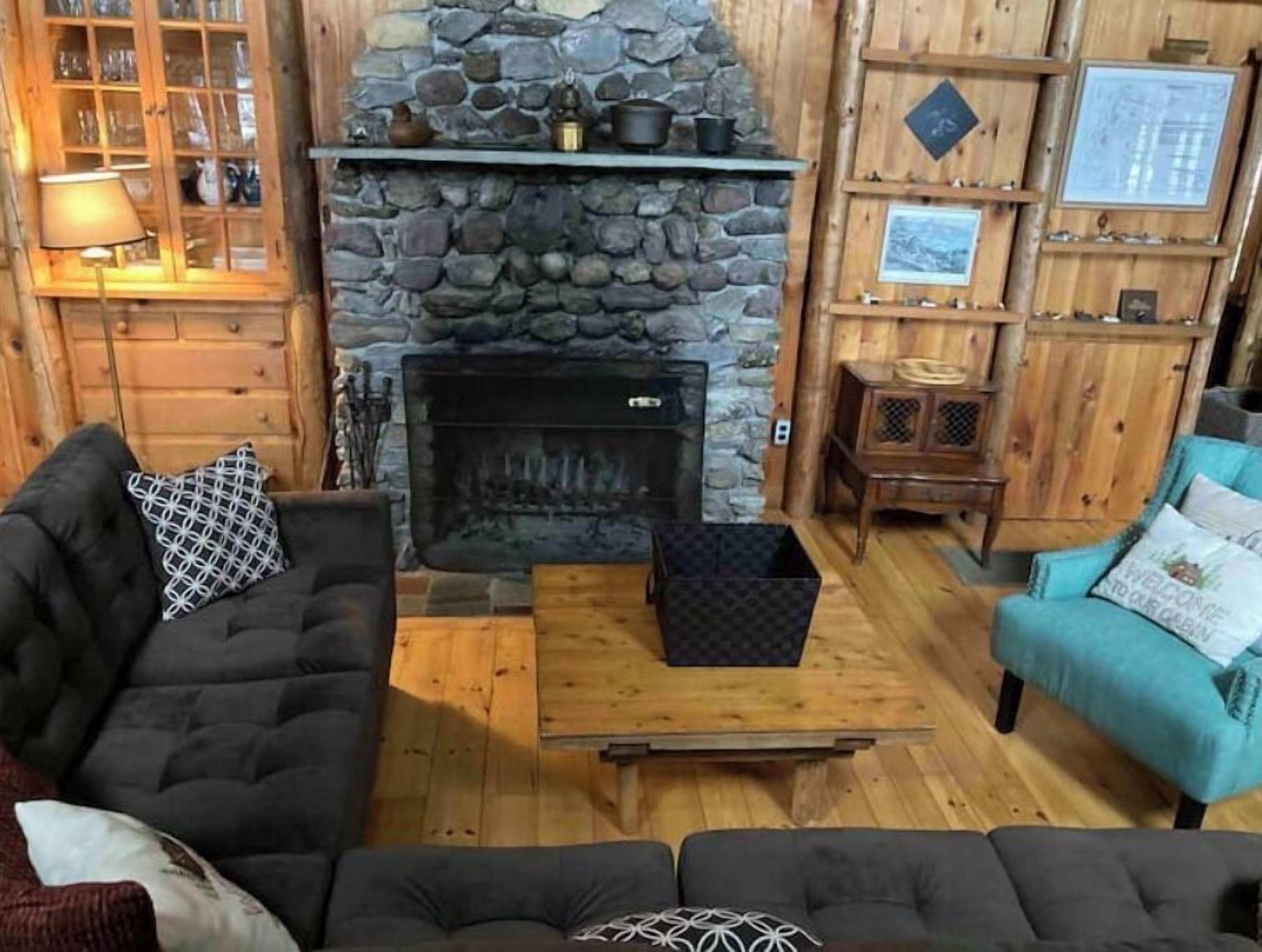 TV, fireplace, books