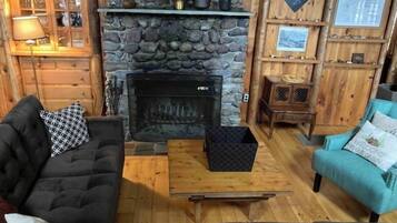 TV, fireplace, books