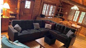 TV, fireplace, books