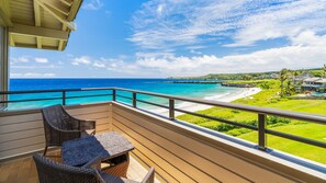 Property grounds - Kapalua Bay Villa 21G5 By Parrish Maui -  Beachfront & ocean views (Lahaina)