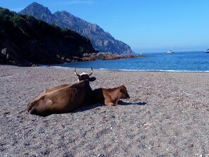 Beach nearby