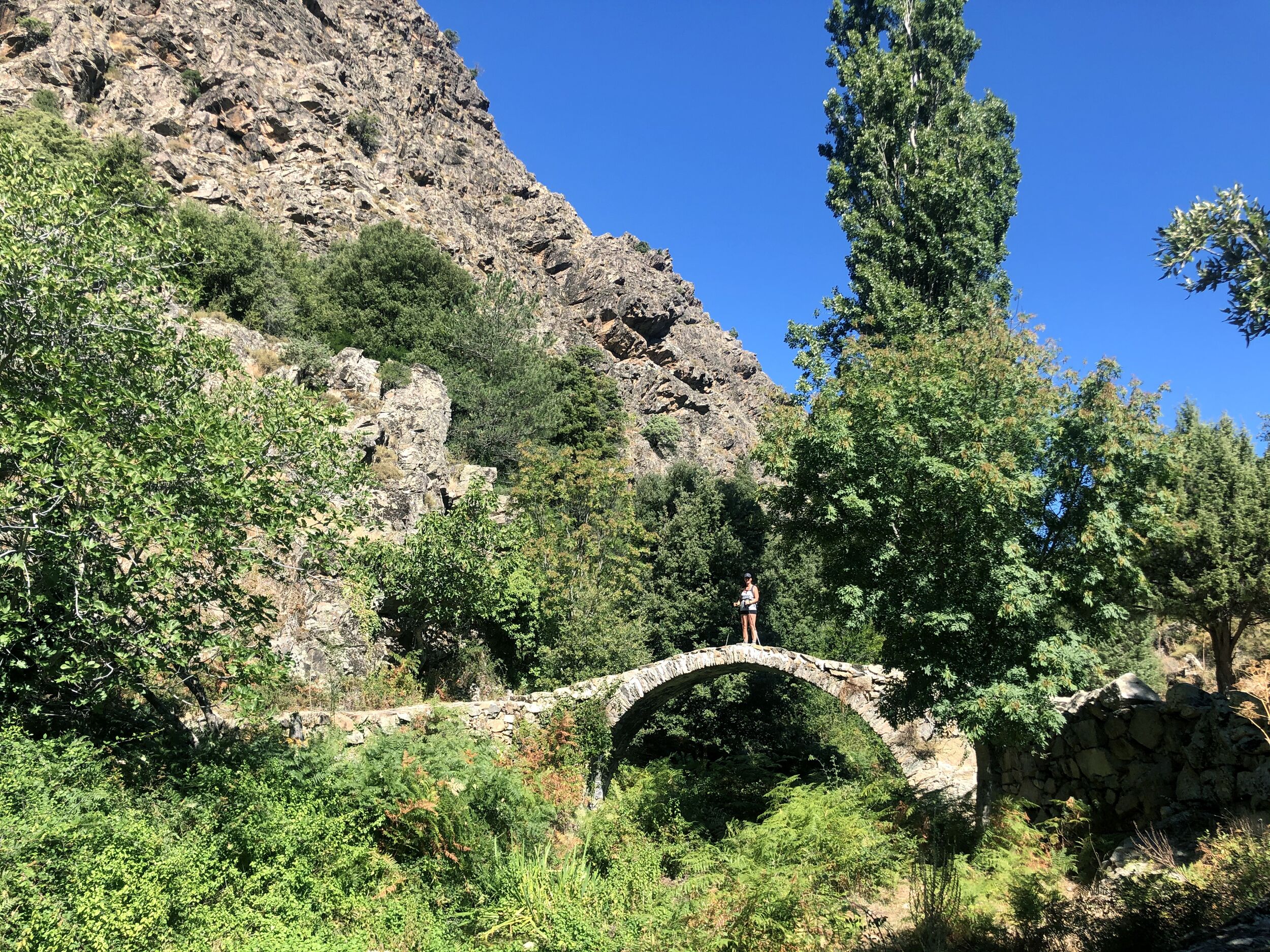 A stone bridge in a lush, green landscape with a rocky cliff in the background.