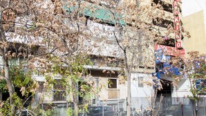 A multi-story building with a parking garage, a stone wall, and trees with dry leaves. - Beautiful new decorated apt in Athens (Athens)