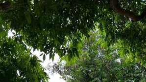 บริเวณที่พัก