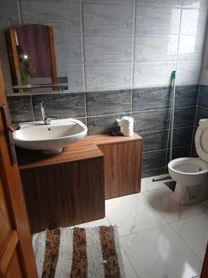 Apartment | Bathroom | Shower, hair dryer, towels