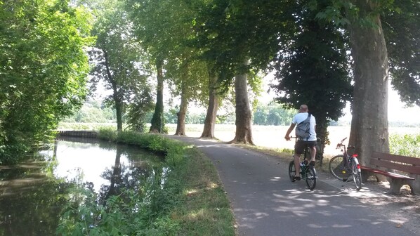 A paved path alongside a calm water body, surrounded by trees.