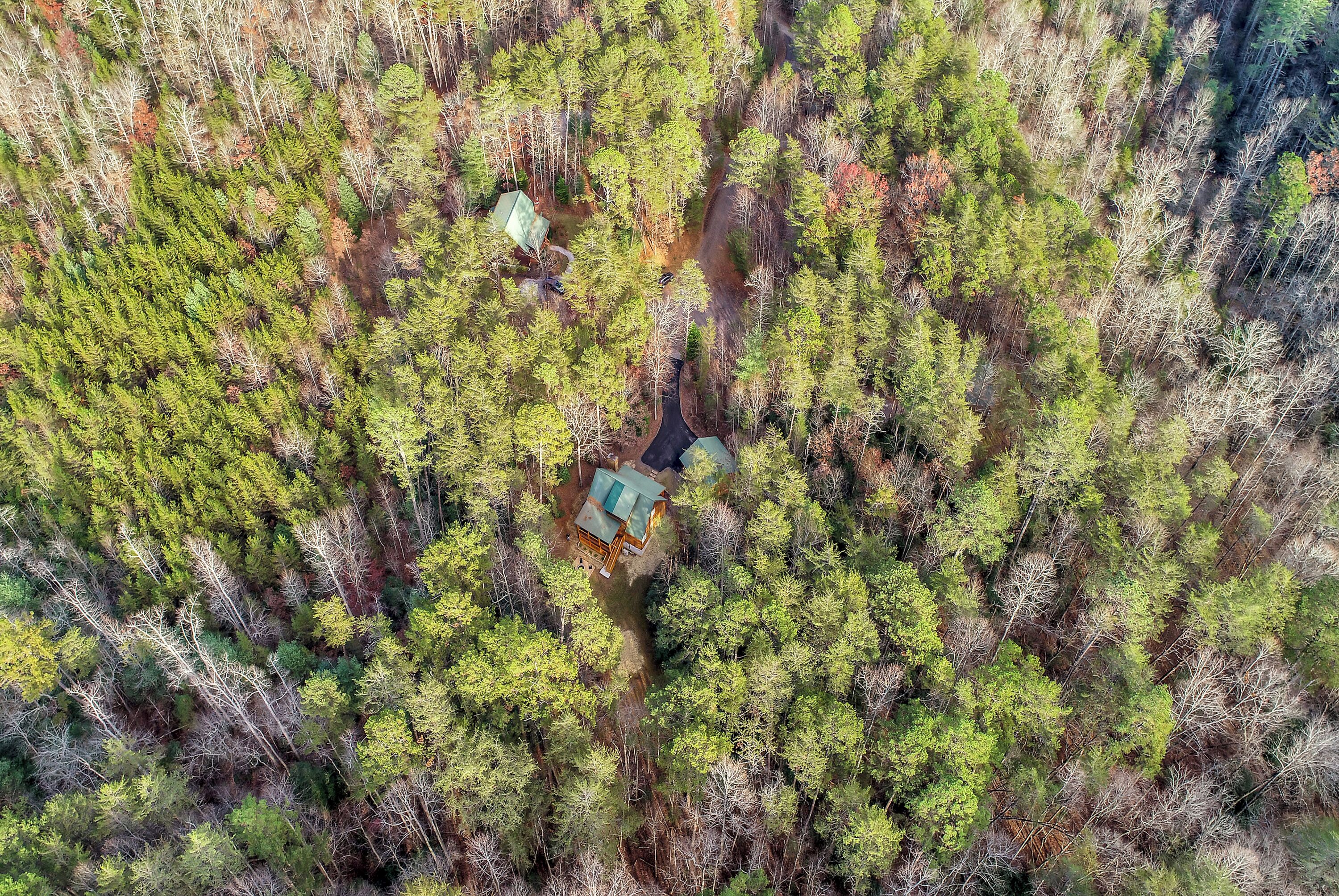 Vista aérea de una zona boscosa con una cabaña pequeña rodeada de árboles densos.