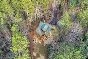 Escape to a secluded cabin nestled in a forest, blending harmoniously with nature.