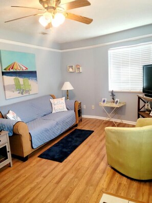 TV, lettore DVD, libri