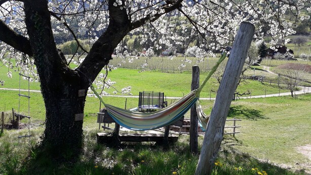 A hammock tied to a tree in a grassy area with a view of a house and a field. - Farm❤ (Eppan)