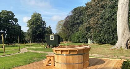 Ormesby Manor - Shepherd's hut Gardener