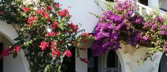 Lovely apartment with great views to the sea - 5 min from the beach!