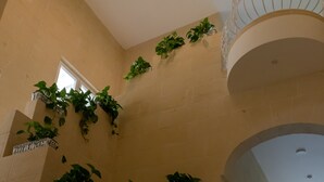 Una escala amb parets beix i diversos planters amb plantes verdes.