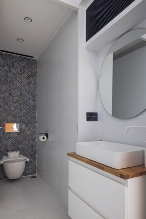 Shower, hair dryer, towels