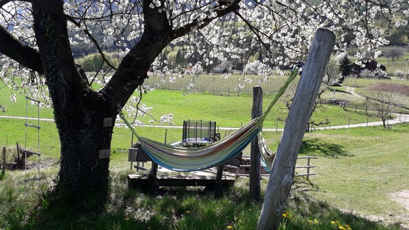 Enceinte de lâhĂ©bergement