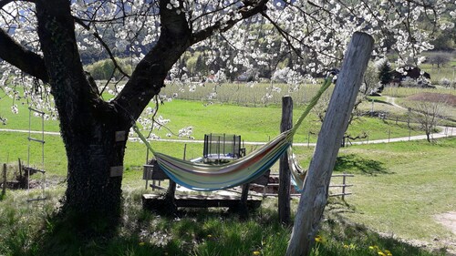 farm💗 for families and vacationers with pets