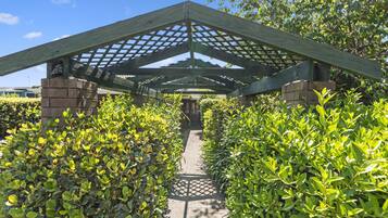 A covered walkway with a wooden lattice roof, flanked by neatly trimmed bushes, leading to a building entrance.