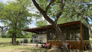 Een houten chalet met een groot raam, omringd door bomen en een barbecueplaats.
