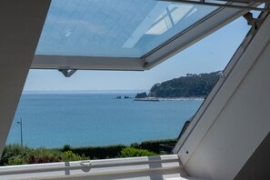A view from a skylight of a coastal area with clear blue water, a rocky shoreline, and greenery.