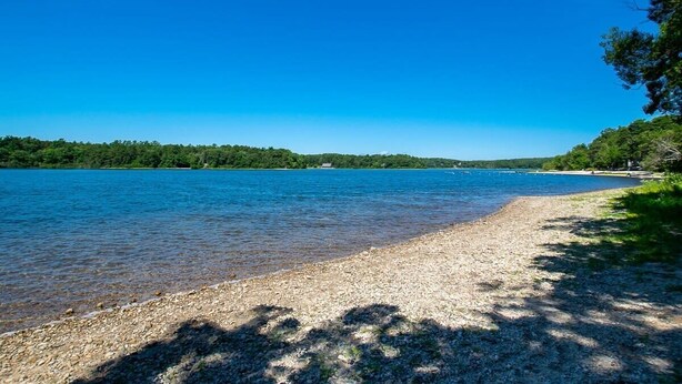 Klarer Blick auf einen See mit Kiesstrand und dichtem Wald im Hintergrund.