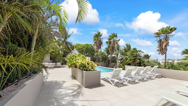 A rooftop pool area with lounge chairs and planters.